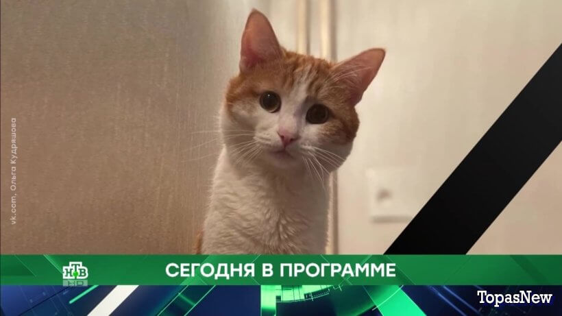 Место встречи 23 января 2024 смотреть онлайн НТВ сегодняшний выпуск