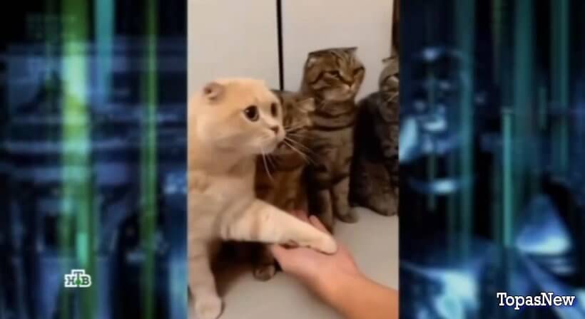 Международная пилорама от 20.01.24 смотреть онлайн