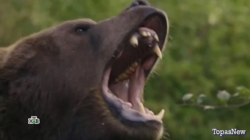 5 минут тишины 5 сезон 7 8 серия 21.03.2024 смотреть онлайн