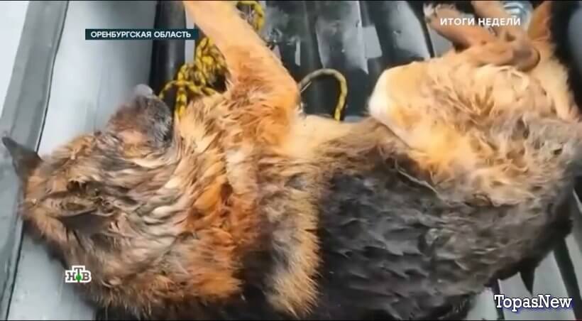 Итоги недели с Ирадой Зейналовой 14.04.24 смотреть онлайн