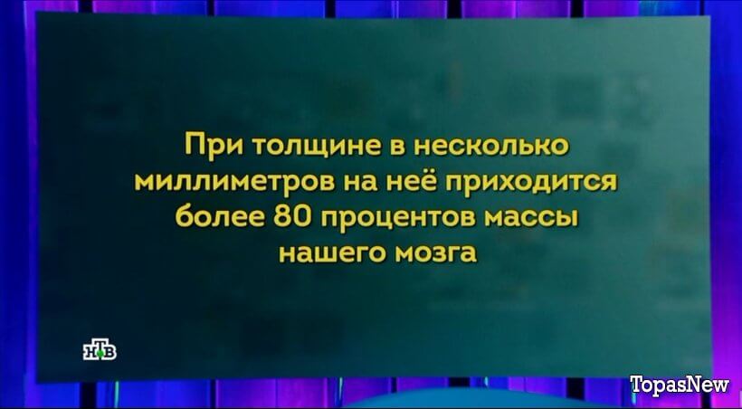 Своя игра от 15.06.24 смотреть онлайн последний выпуск
