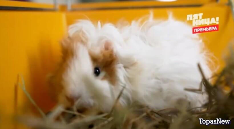 Черный список 8 выпуск 10 июня 2024 смотреть онлайн Пятница