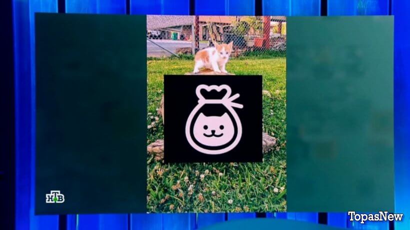 Своя игра от 01.09.24 смотреть онлайн последний выпуск