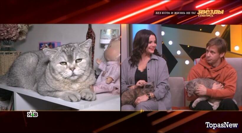 Звёзды сошлись от 17.11.24 смотреть онлайн НТВ