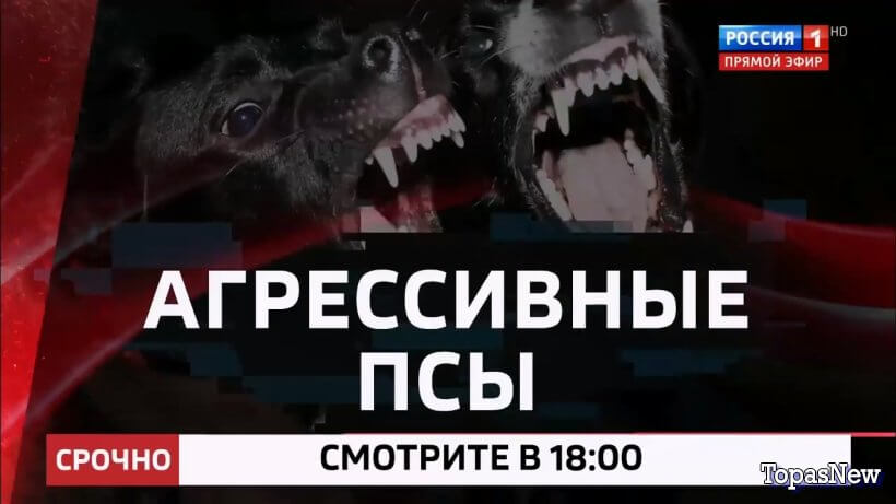 60-ṃинẏƫ14.03.25 последний выпуск смотреть онлайн