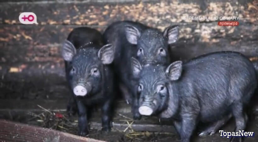 Беременна по обману 5 серия 27.03.25 смотреть онлайн Ю