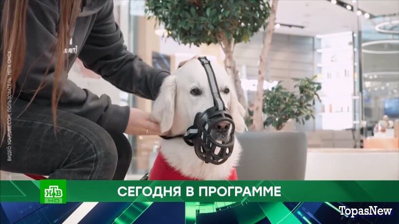 Место встречи 16.06.25 смотреть онлайн сегодняшний выпуск