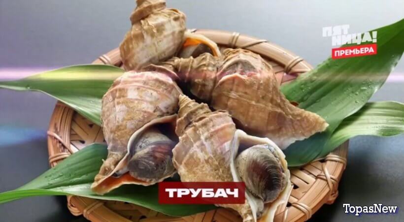 Черный список на кухне 22 серия 17.09.25 смотреть онлайн