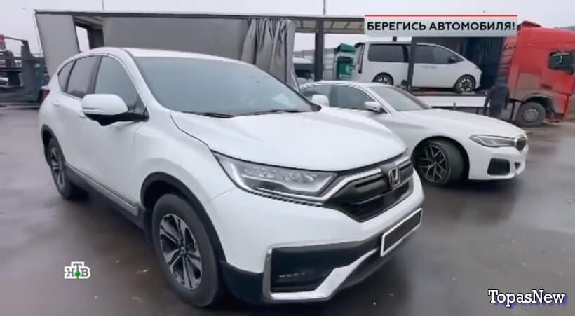 ЧП Расследование 25 октября 2025 смотреть онлайн