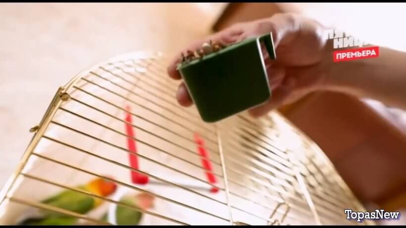 Чёрный список с Губерниевым 11 серия 14 октября 2025 смотреть онлайн