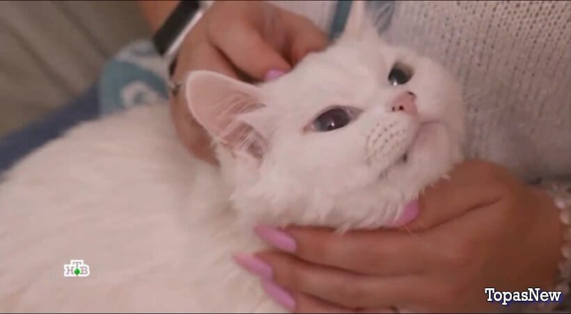 Квартирный вопрос 17.01.26 смотреть онлайн НТВ