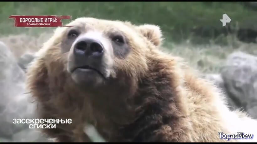 Взрослые игры: 7 самых опасных смотреть онлайн